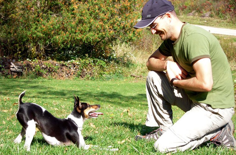 Giải m&atilde; giấc mơ thấy động vật